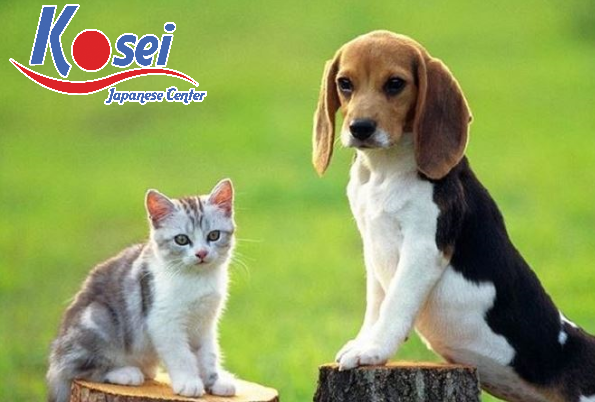 ngữ pháp N2 với まい và もんか